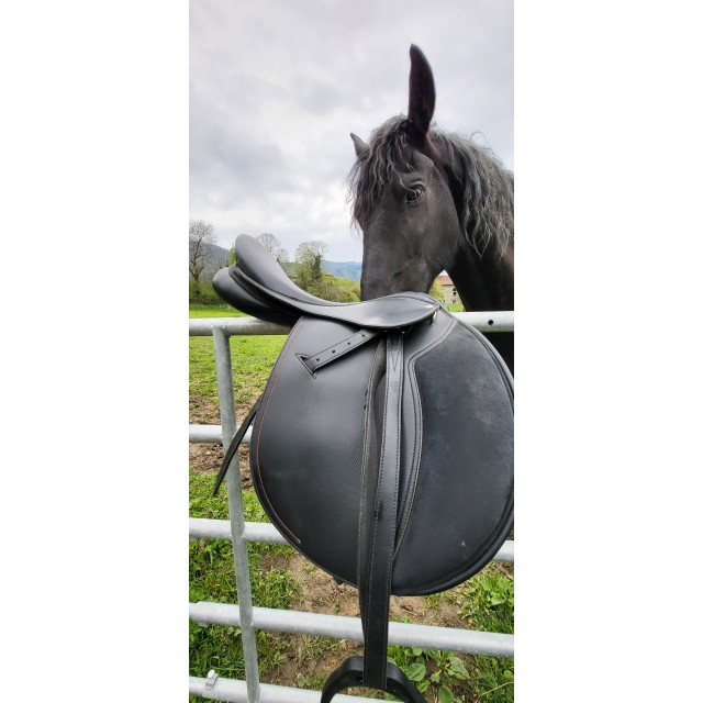 Selle de cheval, urgent !