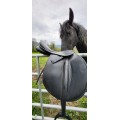 Selle de cheval, urgent !