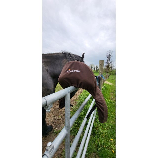 Selle de cheval, urgent !