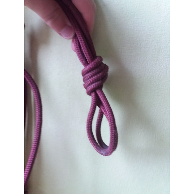 Licol side pull shetland/poney