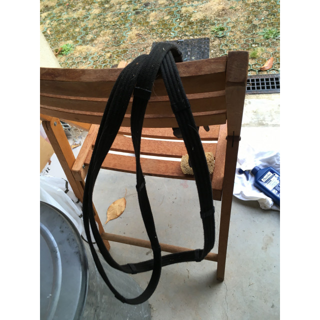 filet taille cheval avec des rênes