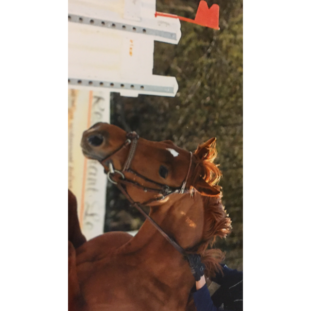 vends filet point sellier penelope leprevost taille M