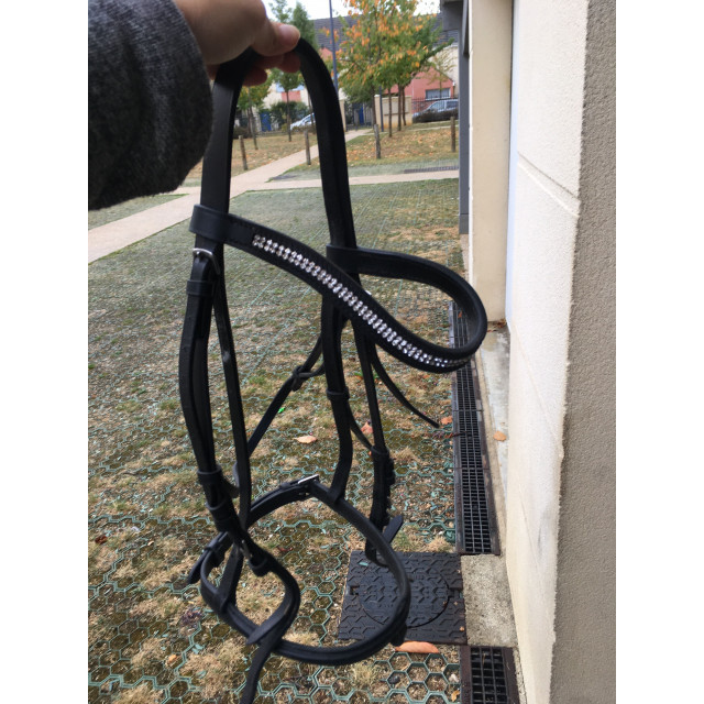 filet taille cheval avec des rênes