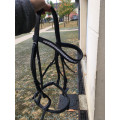 filet taille cheval avec des rênes
