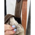 Sangle bavette HFI mouton