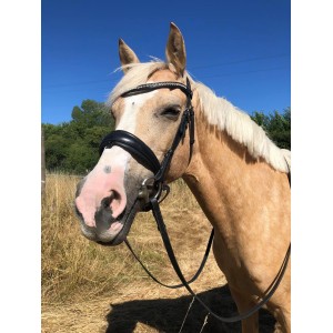 Filet Norton pro Strass