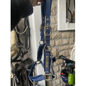 Licol Kentucky velvet marine