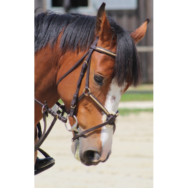 Filet clincher protanner