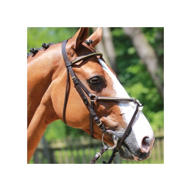 Filet clincher protanner