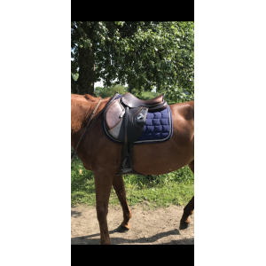 Vend ou échange selle Cwd 2g