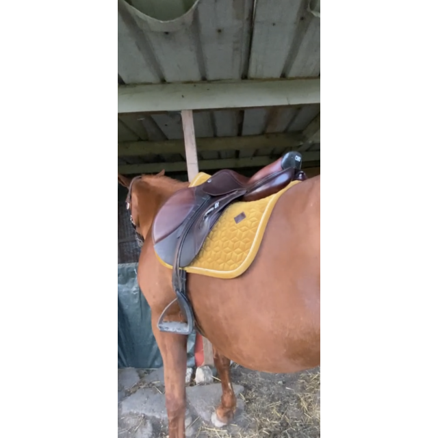 Vend ou échange selle Cwd 2g