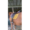 Vend ou échange selle Cwd 2g