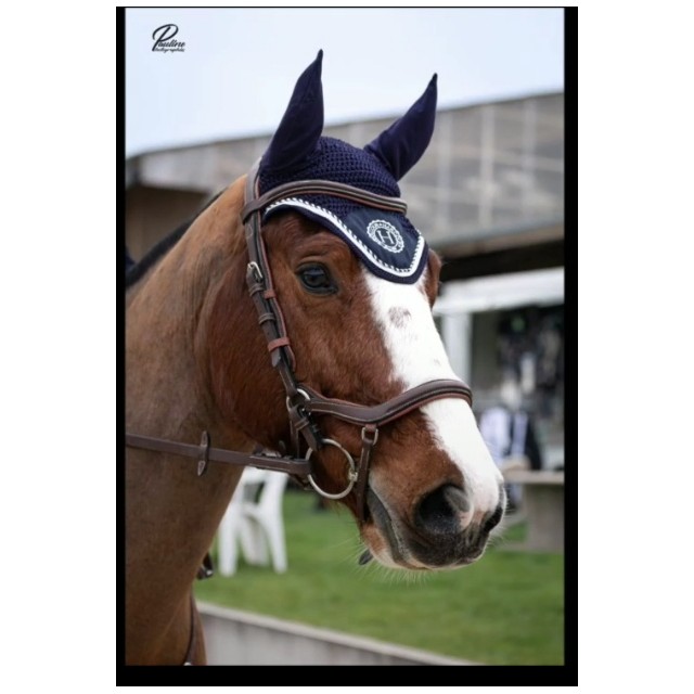 Bridon Jumpin New York