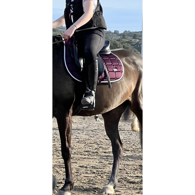 tapis félix bhüler