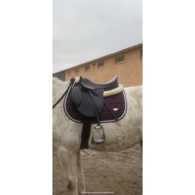 tapis félix bhüler