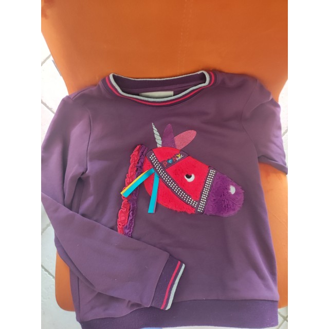 Pull violet equitheme