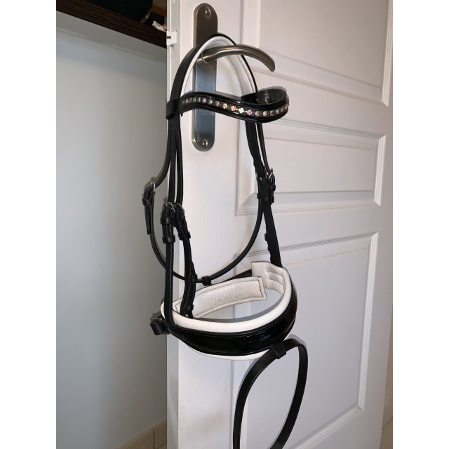 Bridon harrys horse