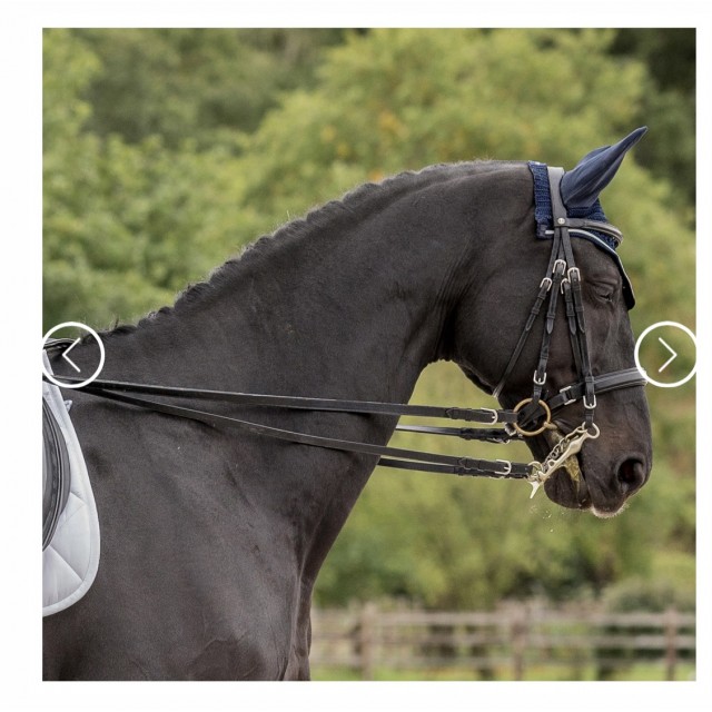 Bride de dressage