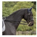 Bride de dressage