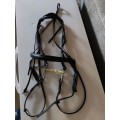 Bride cuir noir taille cheval
