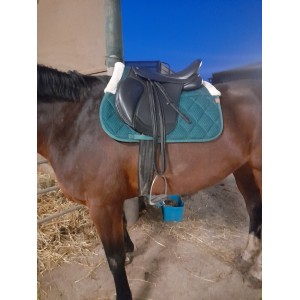 Selle mixte horse parade