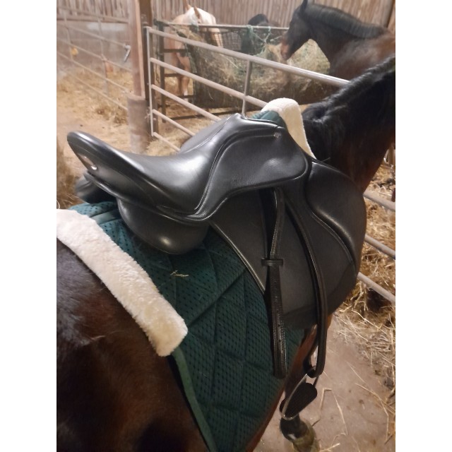 Selle mixte horse parade