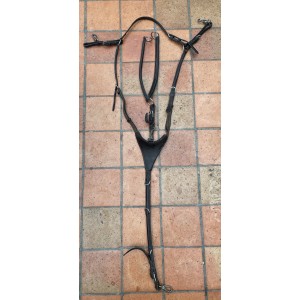 Collier de chasse + Martingale Dansel