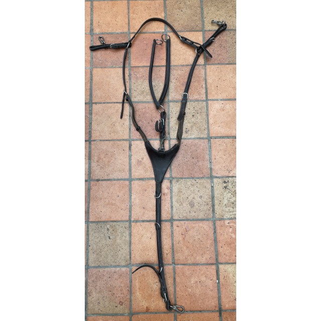 Collier de chasse + Martingale Dansel