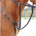 Collier de chasse + Martingale Dansel
