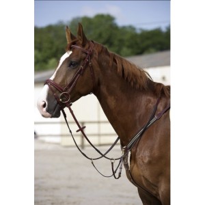 Bridon et collier de chasse polo R after riding