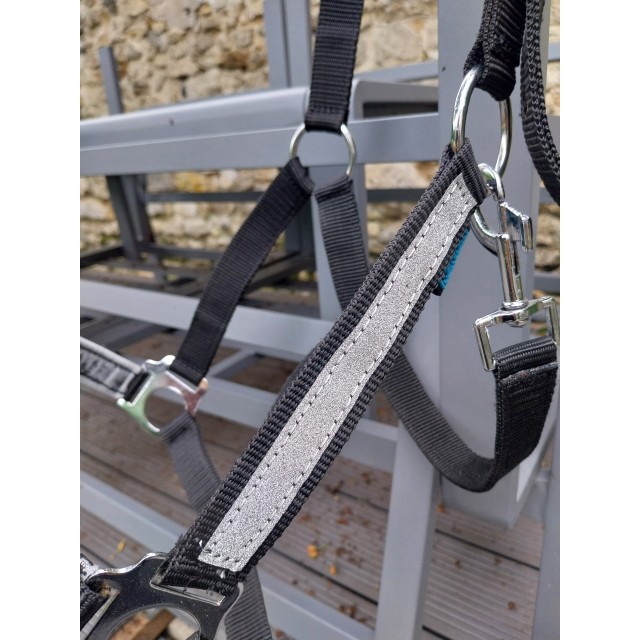 Licol norton paillette noir/ argent