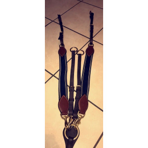 Collier de chasse + martingale