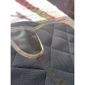 Tapis horse pilot