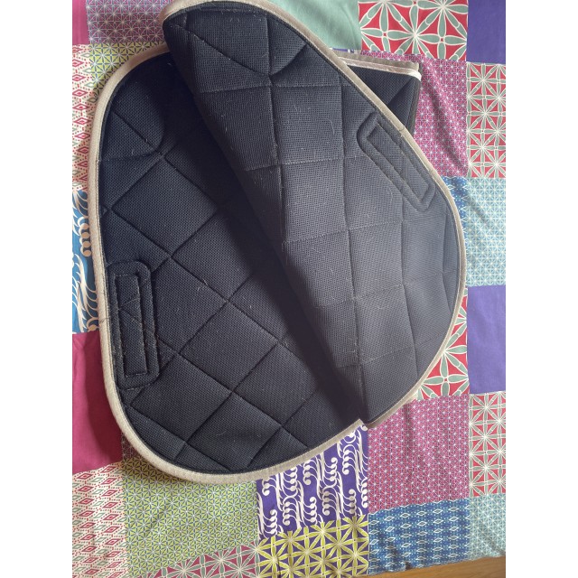 Tapis horse pilot