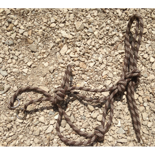 licol éthologique avec accroche pour rênes