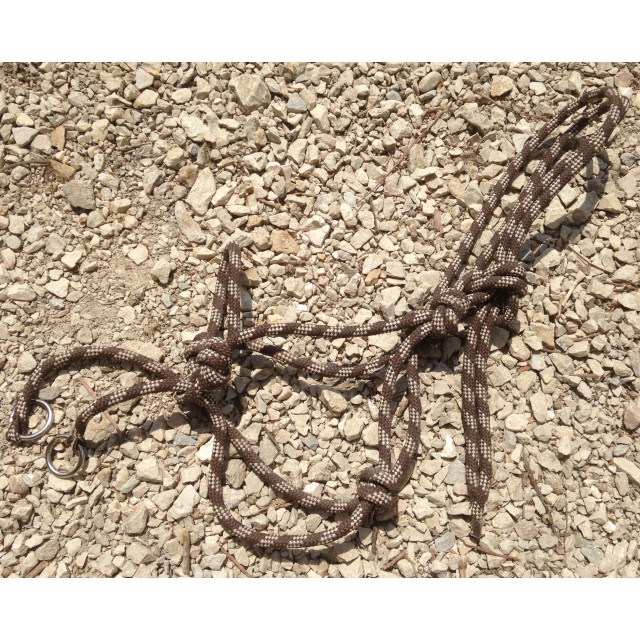 licol éthologique avec accroche pour rênes