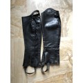 Chaps Parlanti Xs+