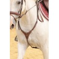 Collier de chasse