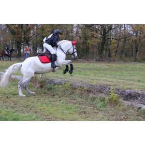 Tapis paddock sport rouge