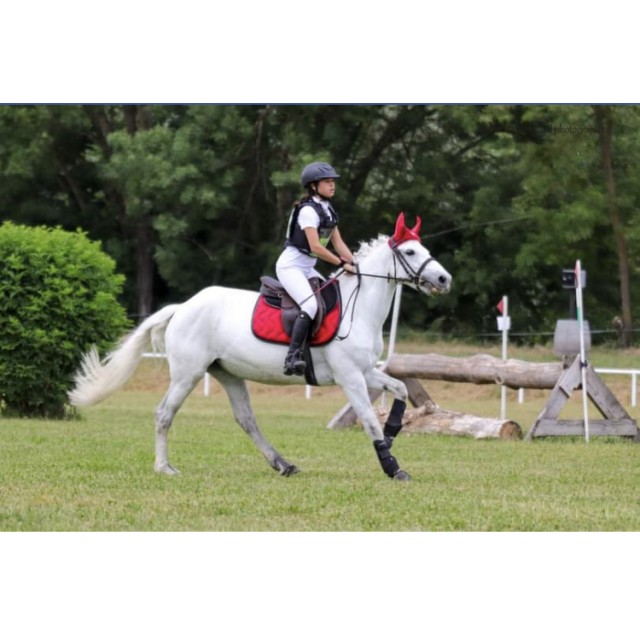 Tapis paddock sport rouge