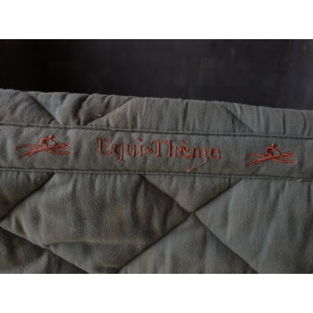 Tapis equitheme