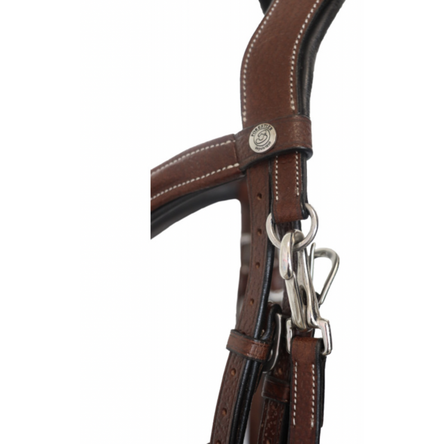 Filet anatomique Forestier