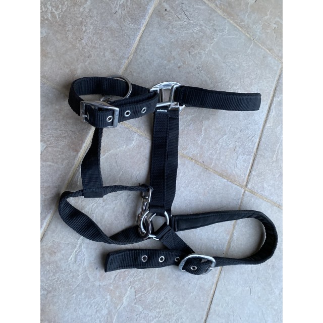 Licol taille cheval