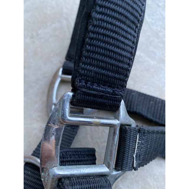 Licol taille cheval