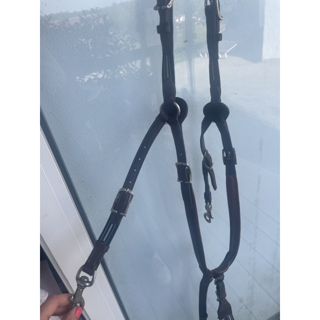collier de chasse antares