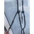 collier de chasse antares