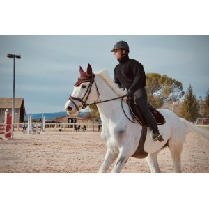 bridon flags and cup