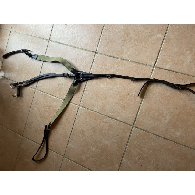 Collier de chasse + martingale
