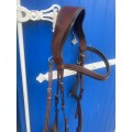 Bridon combiné legend couleur brun taille cheval