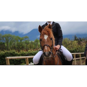 veste de concours noire